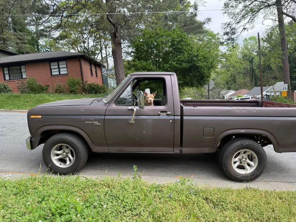 1981 Ford F-Series 7th Gen - Image 4 of 5