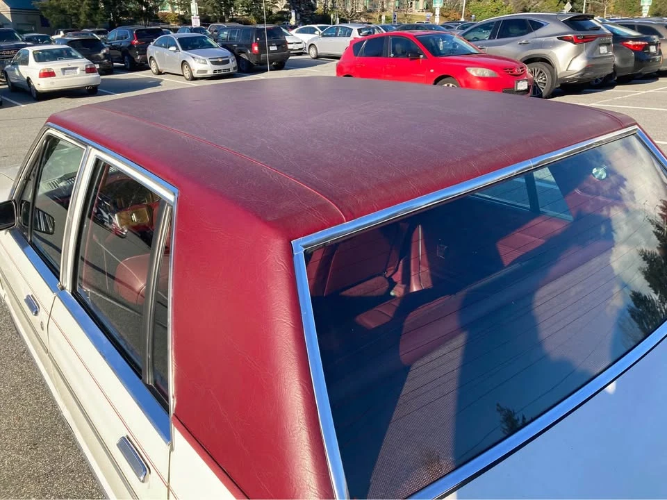 1981 Ford - Image 5 of 10