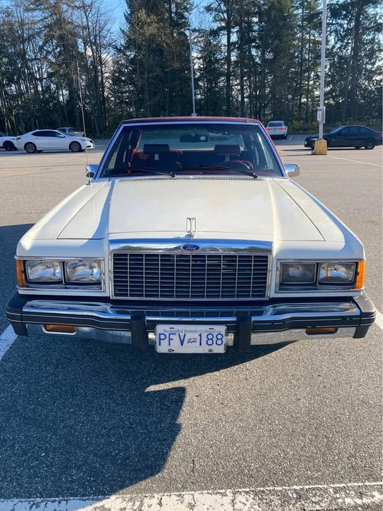 1981 Ford - Image 3 of 10