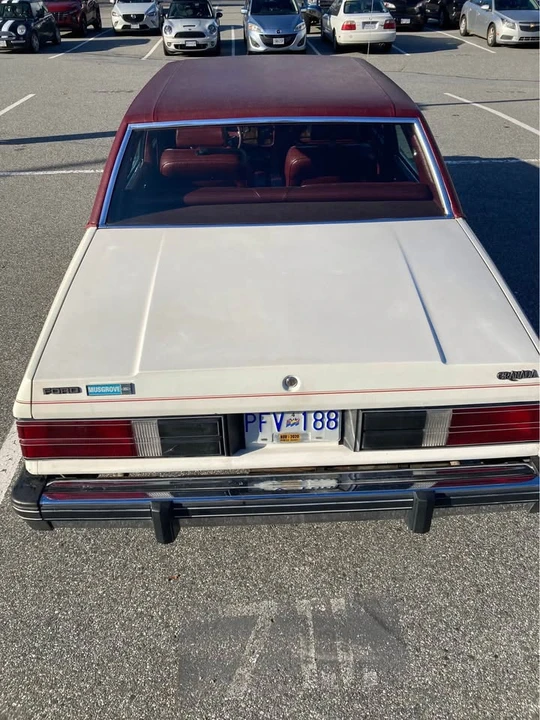 1981 Ford - Image 4 of 10
