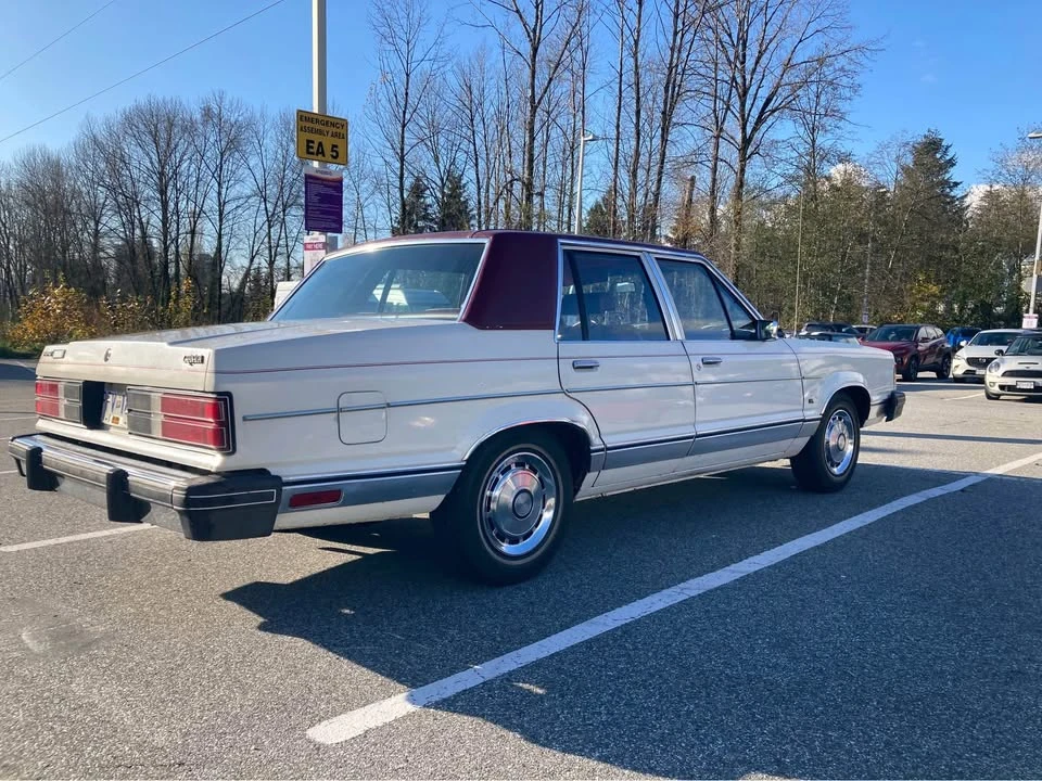 1981 Ford - Image 2 of 10