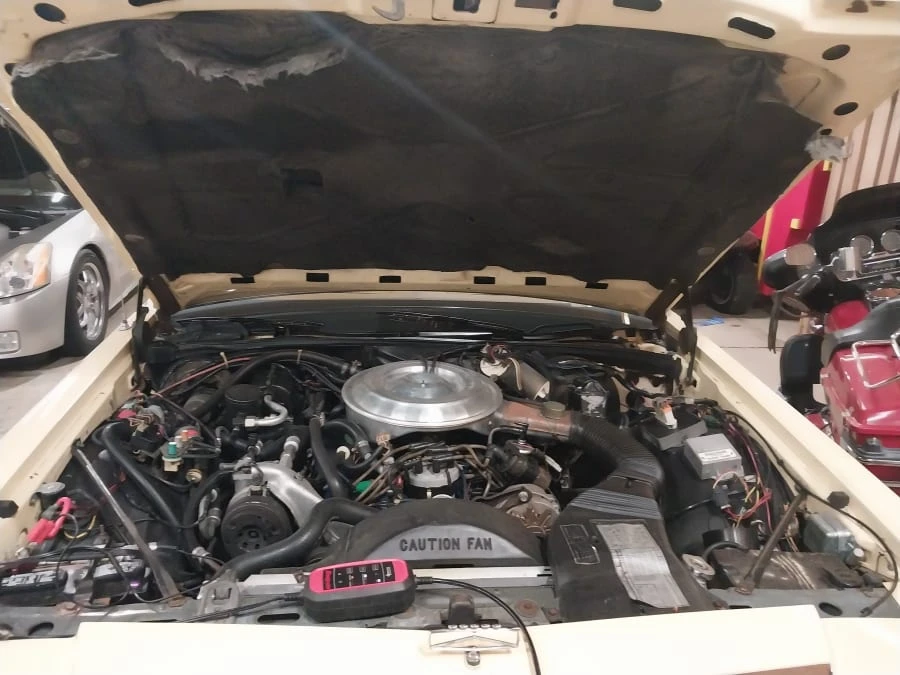 1981 Ford LTD - Image 17 of 17