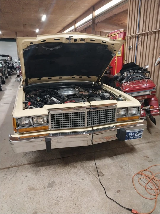 1981 Ford LTD - Image 16 of 17