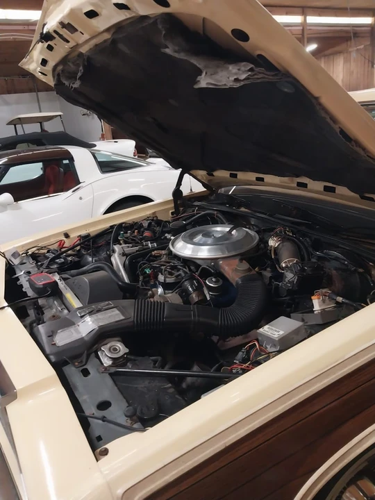 1981 Ford LTD - Image 14 of 17