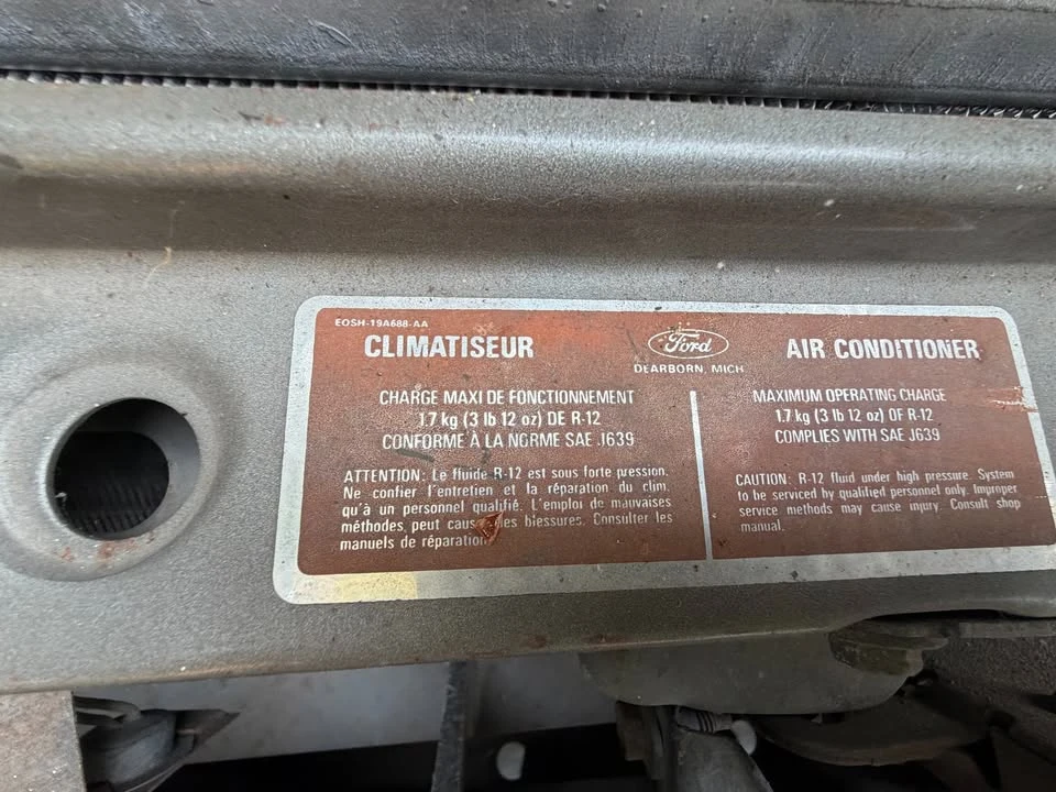 1981 Ford Mustang 3rd Gen - Image 10 of 13