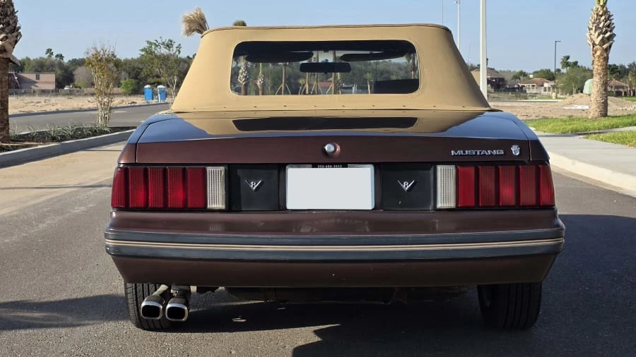 1981 Ford Mustang 3rd Gen - Image 4 of 22