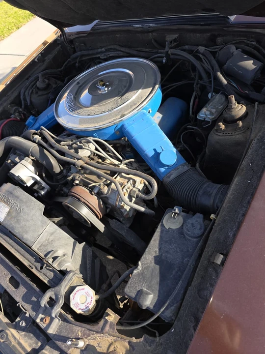 1981 Ford Mustang 3rd Gen - Image 20 of 22