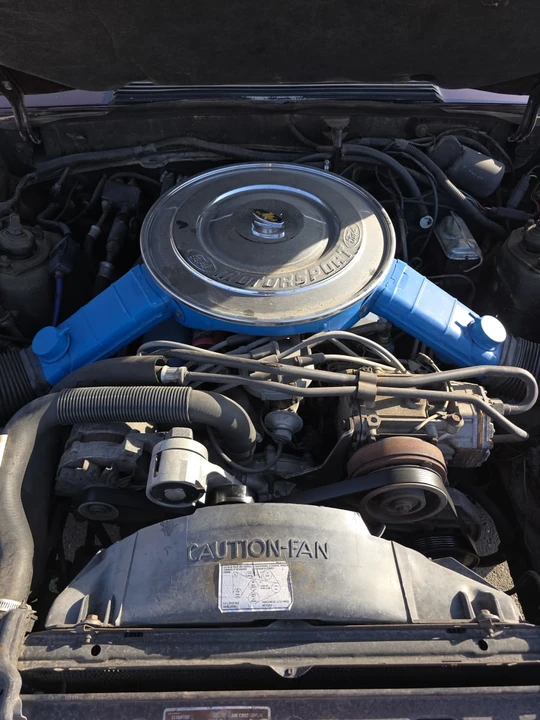 1981 Ford Mustang 3rd Gen - Image 21 of 22