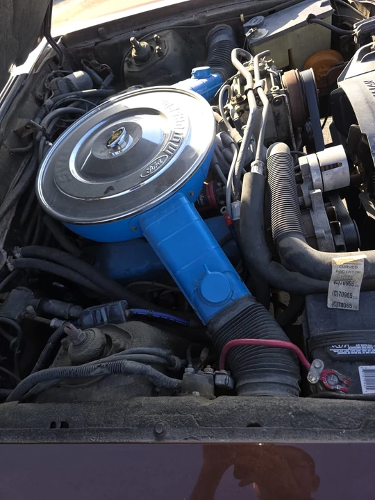 1981 Ford Mustang 3rd Gen - Image 22 of 22