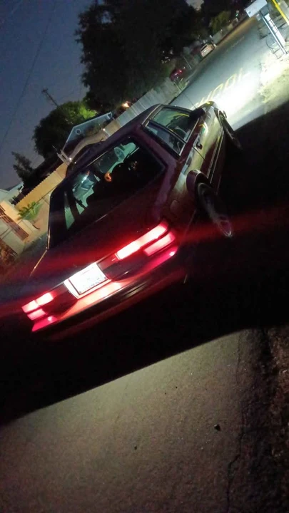 1981 Ford Mustang 3rd Gen - Image 14 of 14