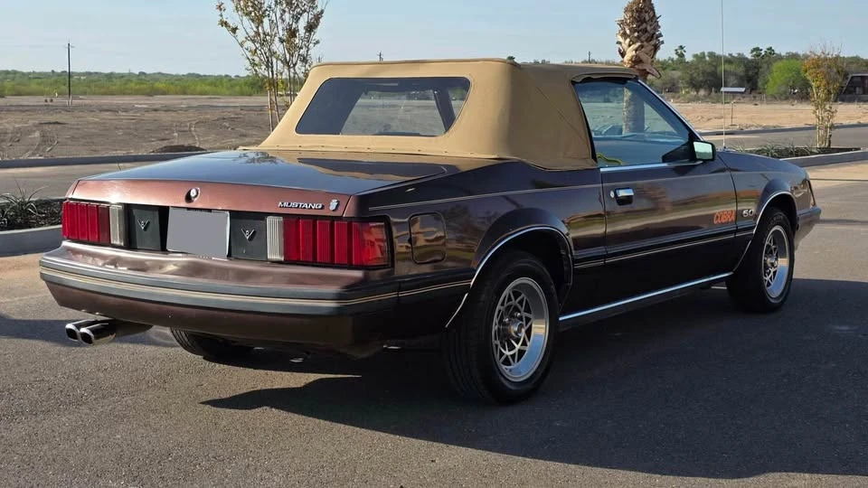 1981 Ford Mustang 3rd Gen - Image 3 of 14