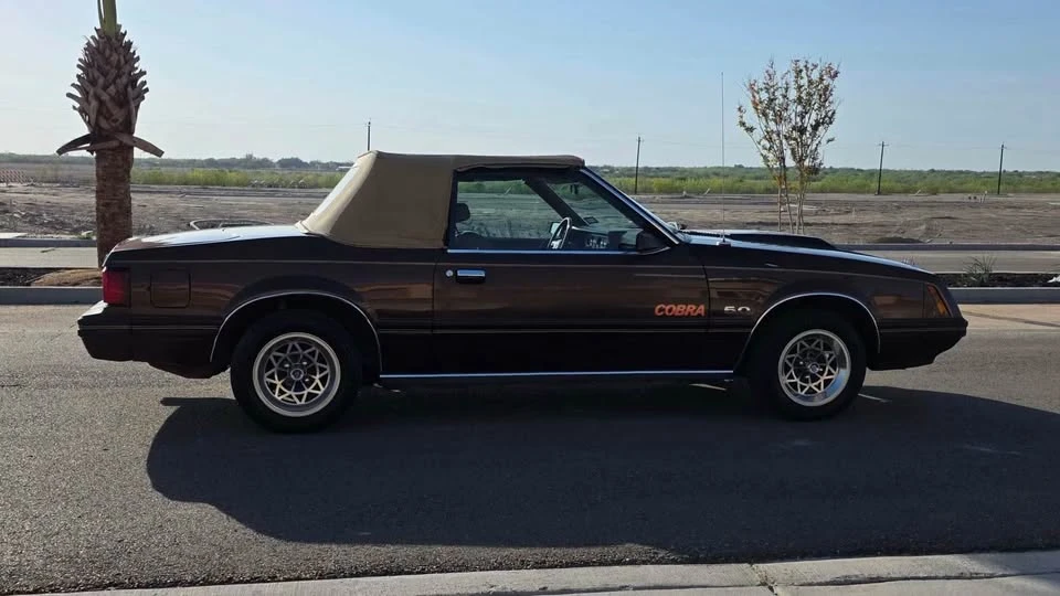 1981 Ford Mustang 3rd Gen - Image 6 of 14