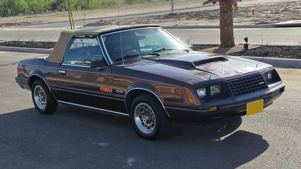 1981 Ford Mustang 3rd Gen - Image 8 of 14