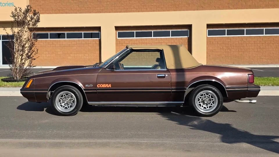 1981 Ford Mustang 3rd Gen - Image 2 of 14