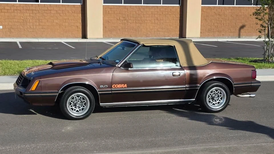 1981 Ford Mustang 3rd Gen - Image 5 of 14