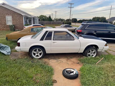 1981 Ford Mustang LX 5.0 Liter Coupe 2D