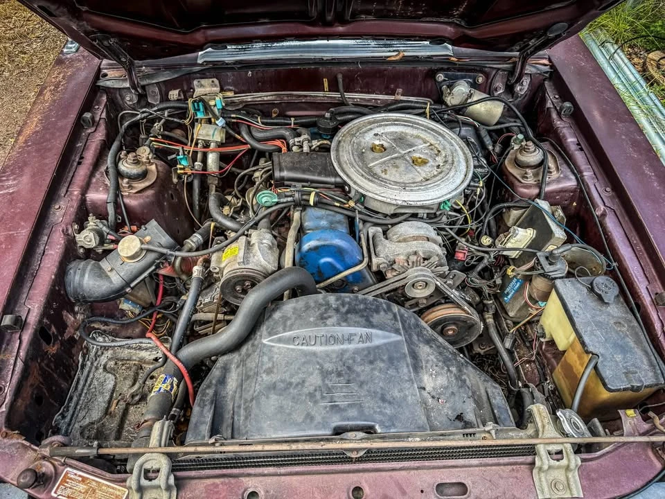 1981 Ford Mustang 3rd Gen - Image 7 of 8