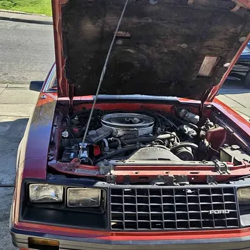 1981 Ford Mustang LX Hatchback 2D