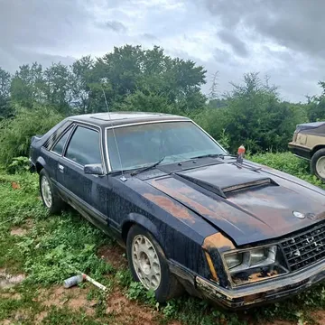1981 Ford Mustang LX Hatchback 2D