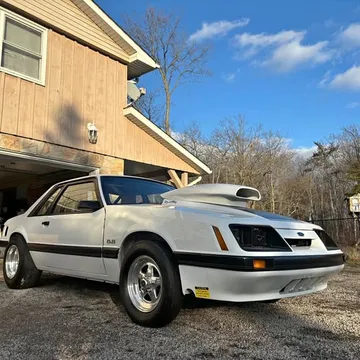 1981 Ford Mustang Coupe