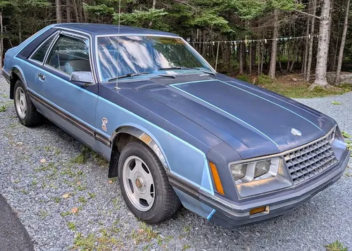 1981 Ford Mustang
