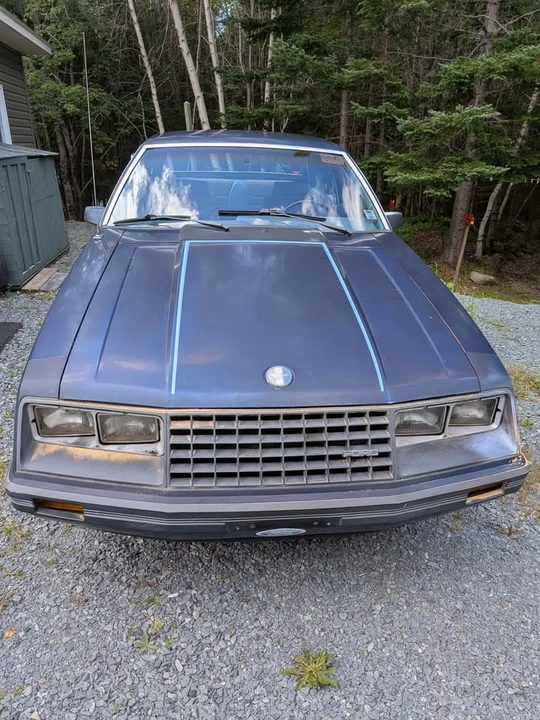1981 Ford Mustang 3rd Gen - Image 2 of 14