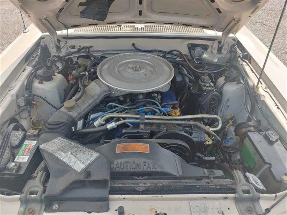 1981 Ford Thunderbird 8th Gen - Image 2 of 12