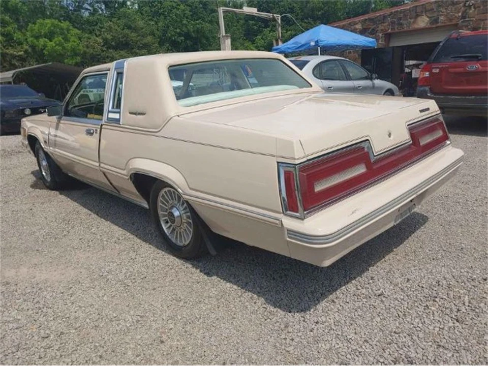 1981 Ford Thunderbird 8th Gen - Image 8 of 12