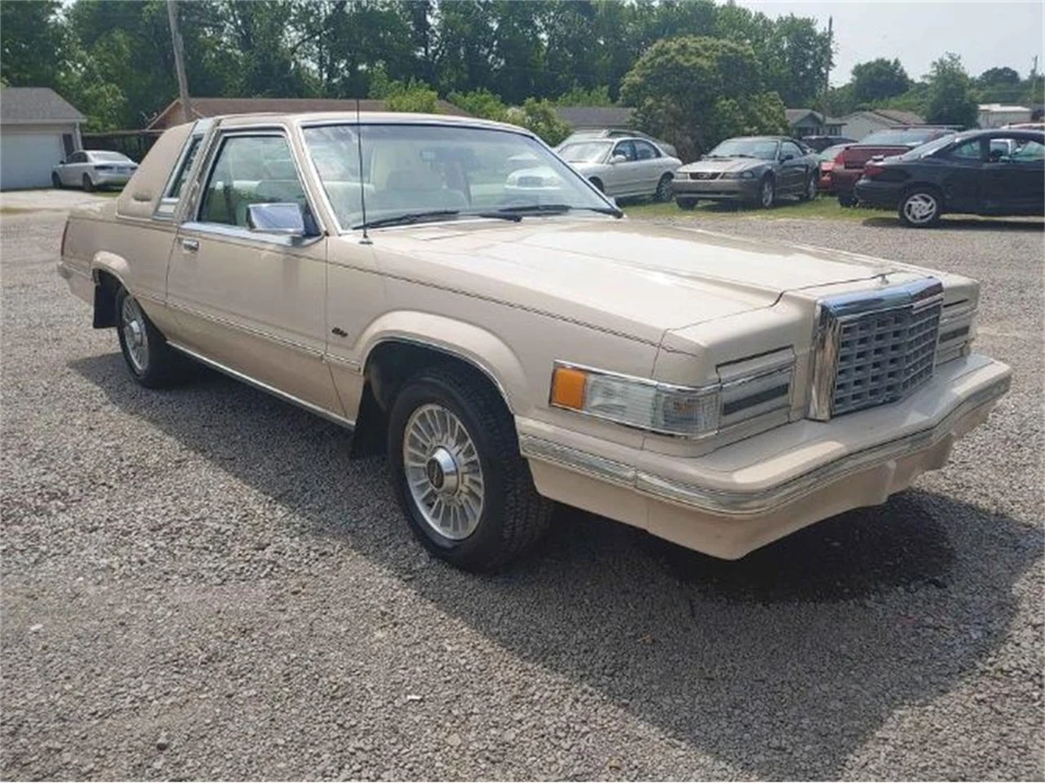 1981 Ford Thunderbird 8th Gen - Image 10 of 12