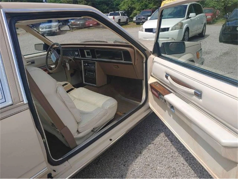1981 Ford Thunderbird 8th Gen - Image 3 of 12