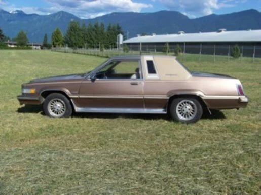 1981 Ford Thunderbird 8th Gen - Image 4 of 17