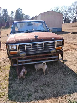 1981 Ford F-100