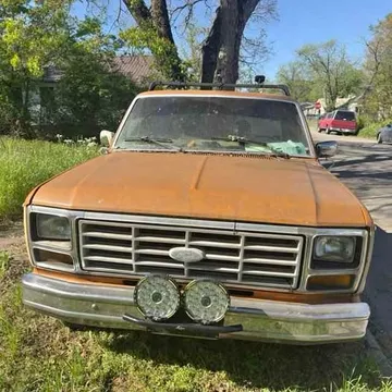 1981 Ford F-100
