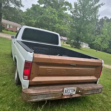1981 Ford F100