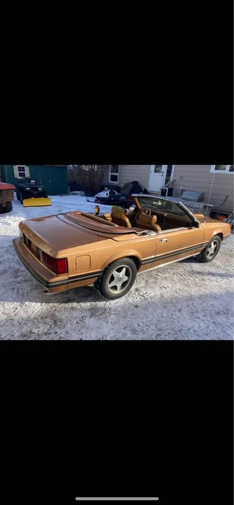 1981 Ford Mustang 3rd Gen - Image 8 of 9