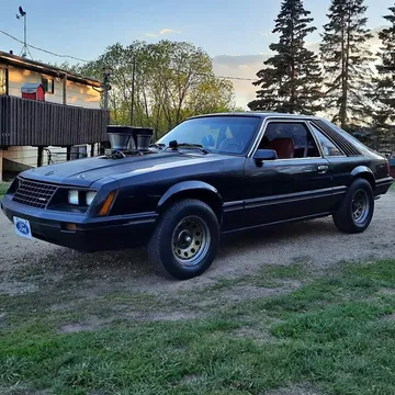 1981 Ford Mustang