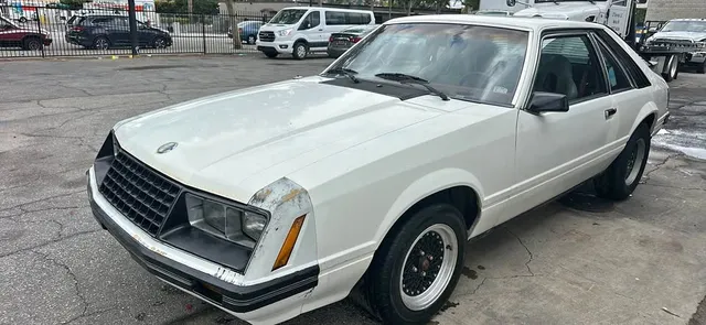 1981 Ford Mustang