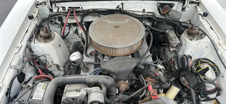 1981 Ford Mustang 3rd Gen - Image 19 of 19