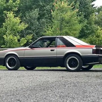 1981 Ford Mustang Cobra