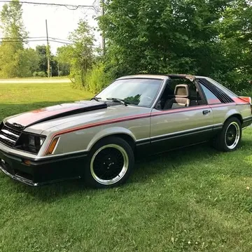 1981 Ford Mustang Cobra