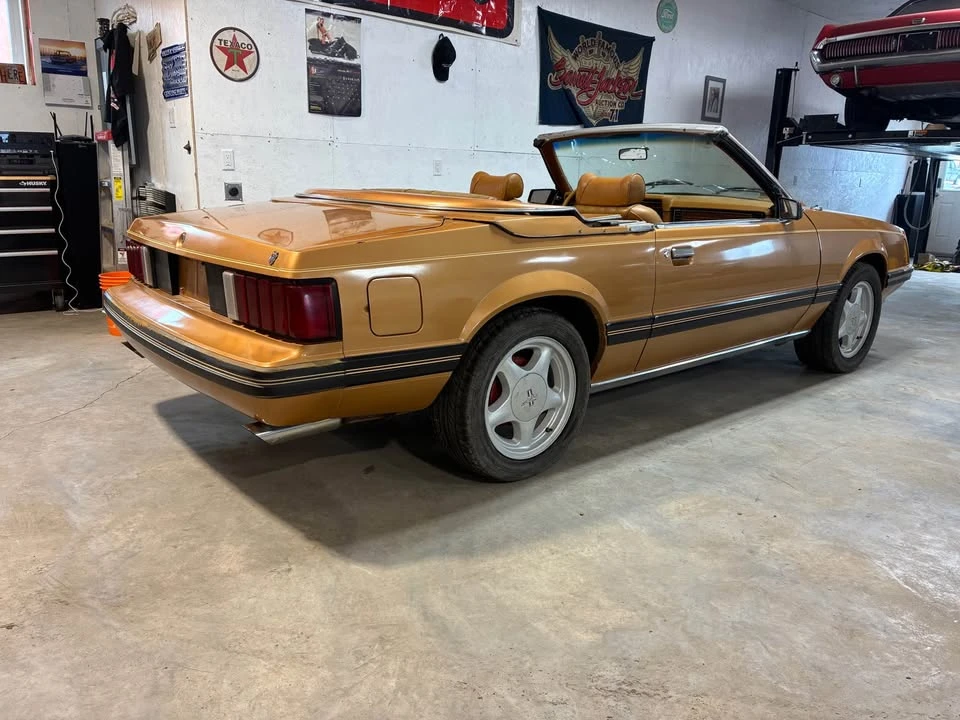 1981 Ford Mustang 3rd Gen - Image 3 of 8