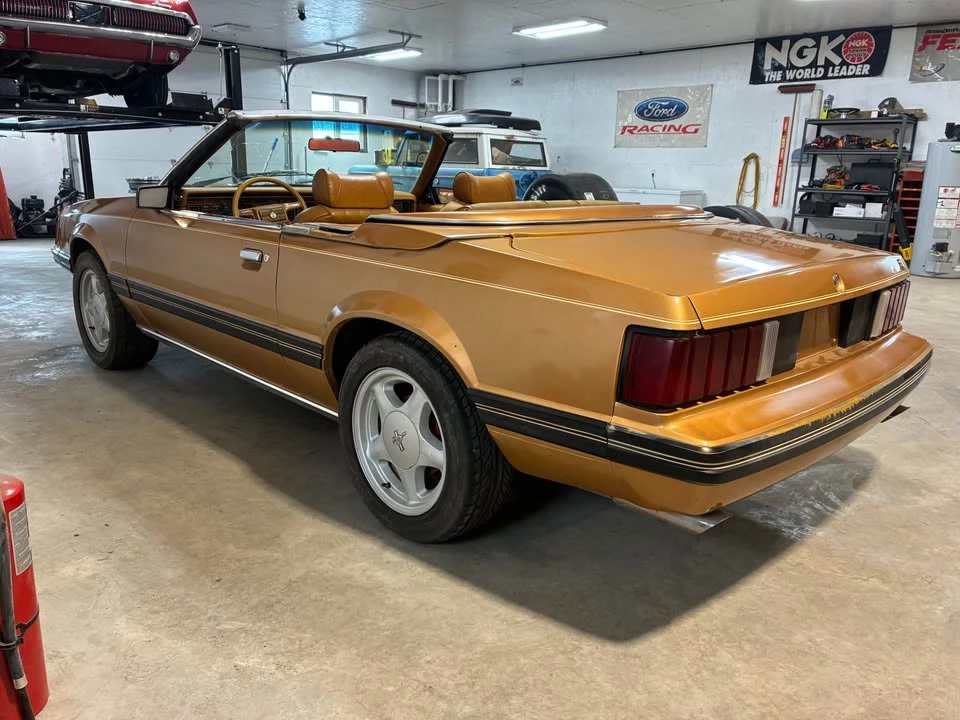 1981 Ford Mustang 3rd Gen - Image 4 of 8