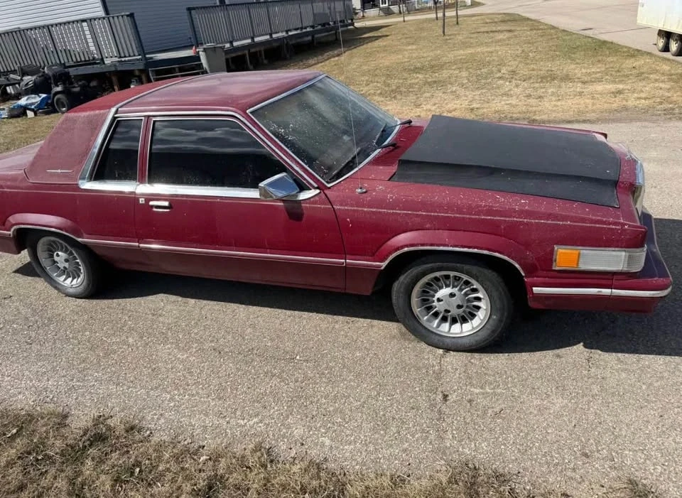 1981 Ford Thunderbird 7th Gen - Image 4 of 6