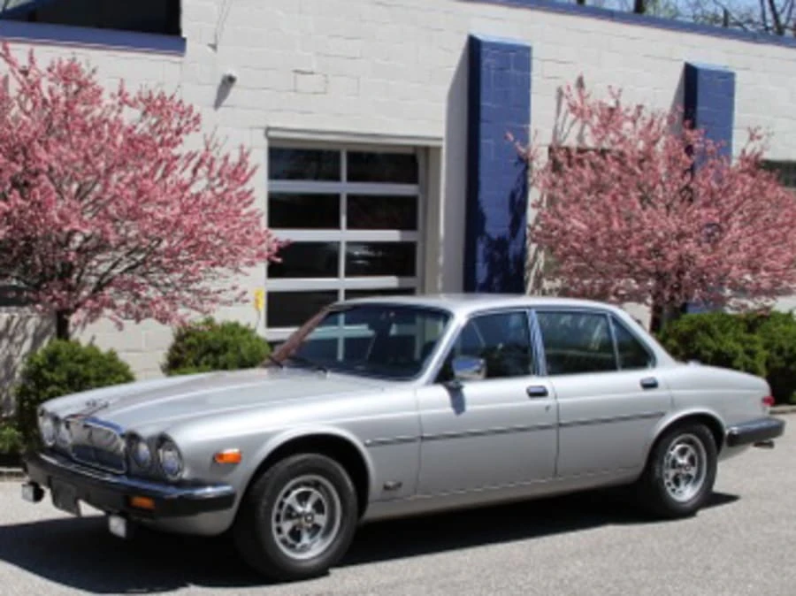 1981 Jaguar XJ Series 3 - Image 8 of 8