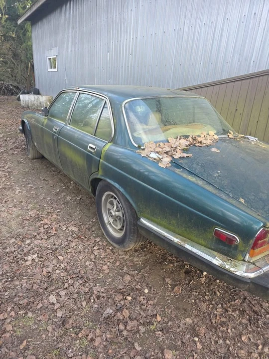 1981 Jaguar XJ Series 3 - Image 3 of 4