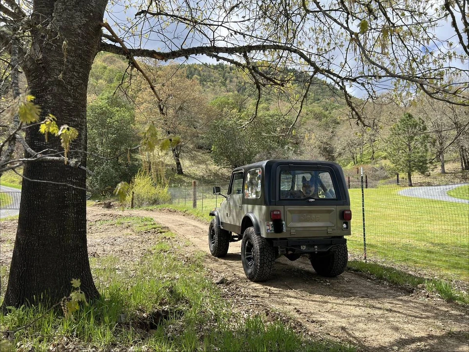1981 Jeep CJ7 - Image 6 of 12