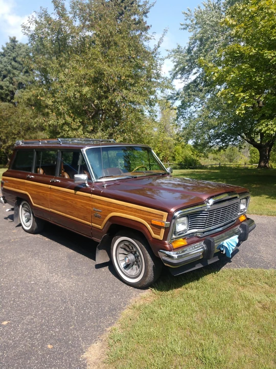 1981 Jeep SJ Wagoneer - Image 5 of 31
