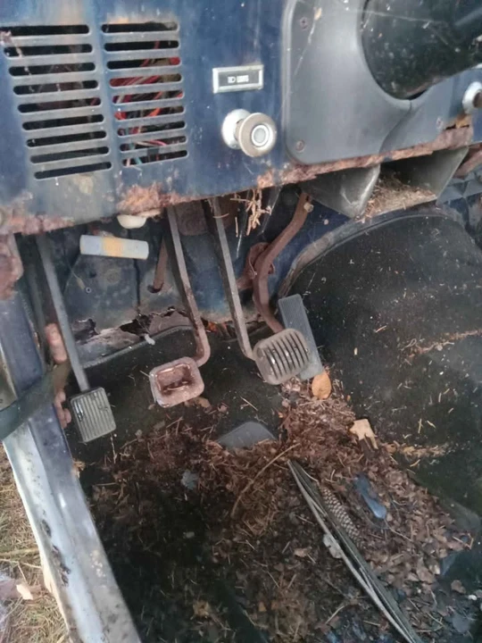 1981 Jeep CJ8 Scrambler - Image 4 of 14