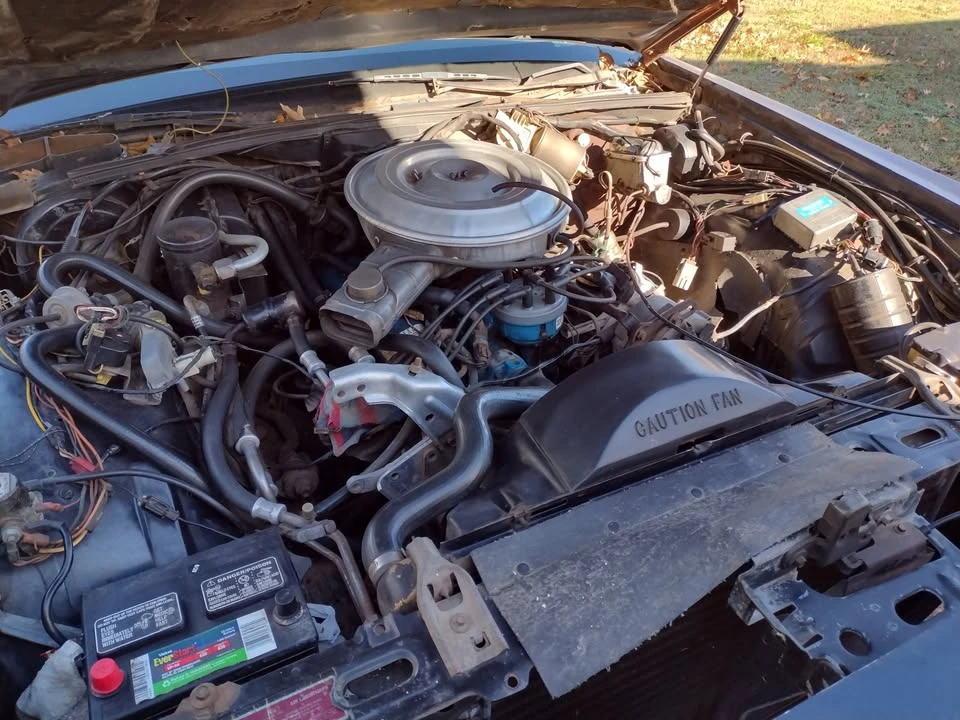 1981 Lincoln Continental Mark VI - Image 5 of 6