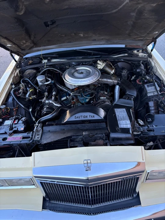 1981 Lincoln Town Car - Image 21 of 21